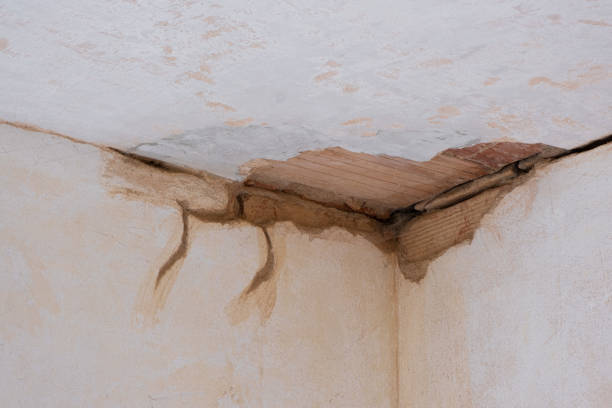 Best 24-hour water damage restoration  in Tyrone, GA