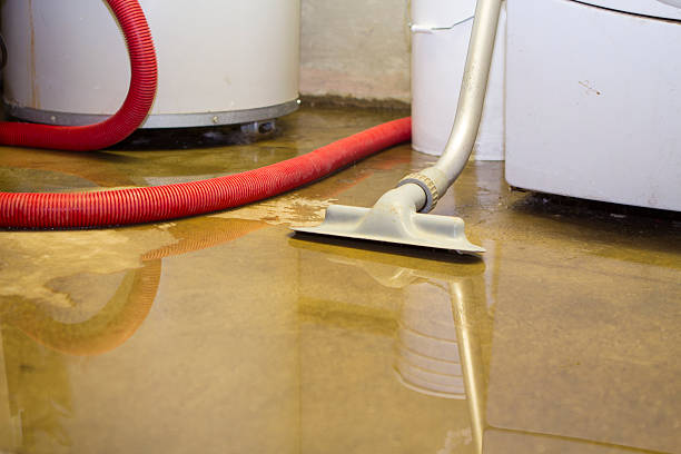 Best Ceiling water damage repair  in Tyrone, GA