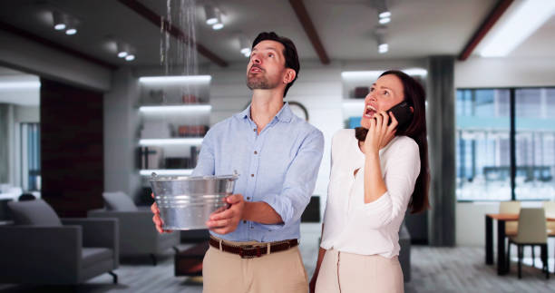Best Professional water damage repair  in Tyrone, GA