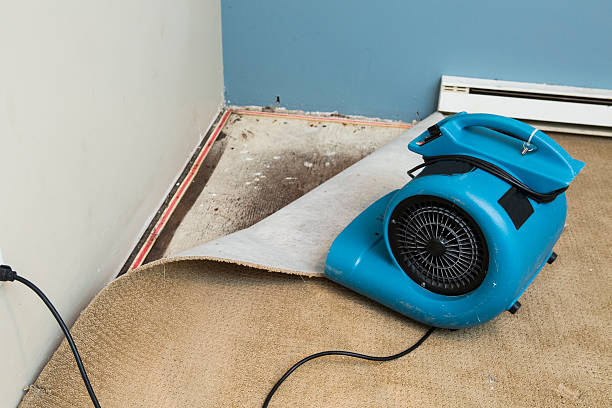Best Local water damage restoration  in Tyrone, GA